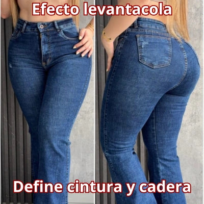 Campana 4201 | Curva & Flujo