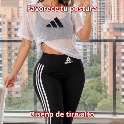 Trío Deportivo "Sinergia Vital"